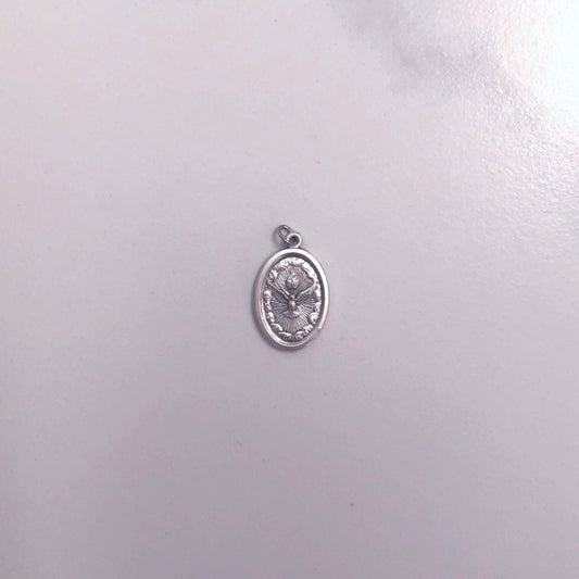 Medal: Holy Spirit Protect Us