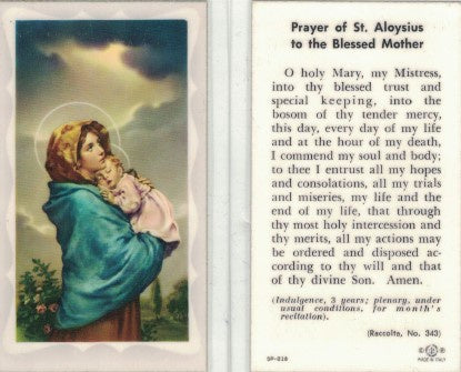 Holy Card: Laminated Madonna of the Streets