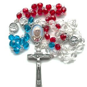 Rosary: Pope Leo XIV Boxed