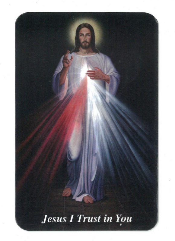 Prayer Card - Laminated Divine Mercy
