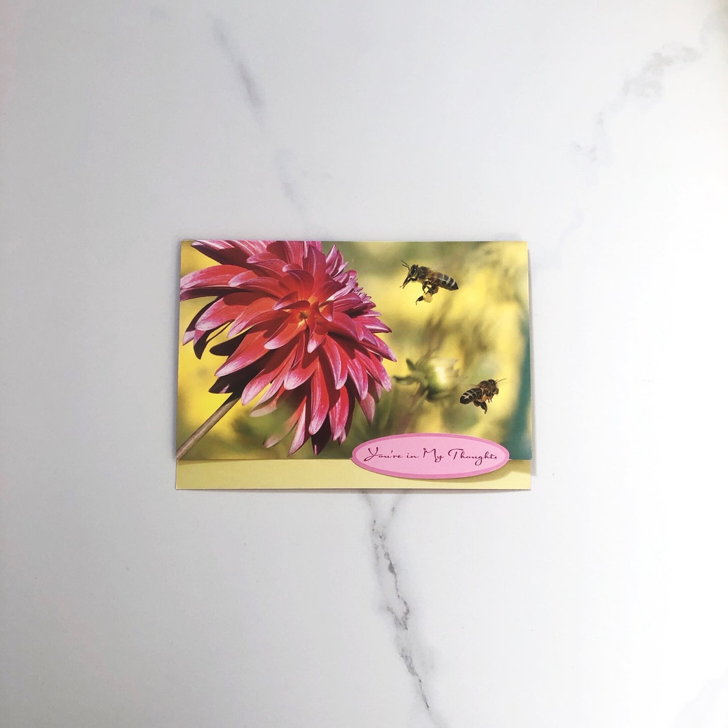 Card: Thinking of You (Natures Friends)