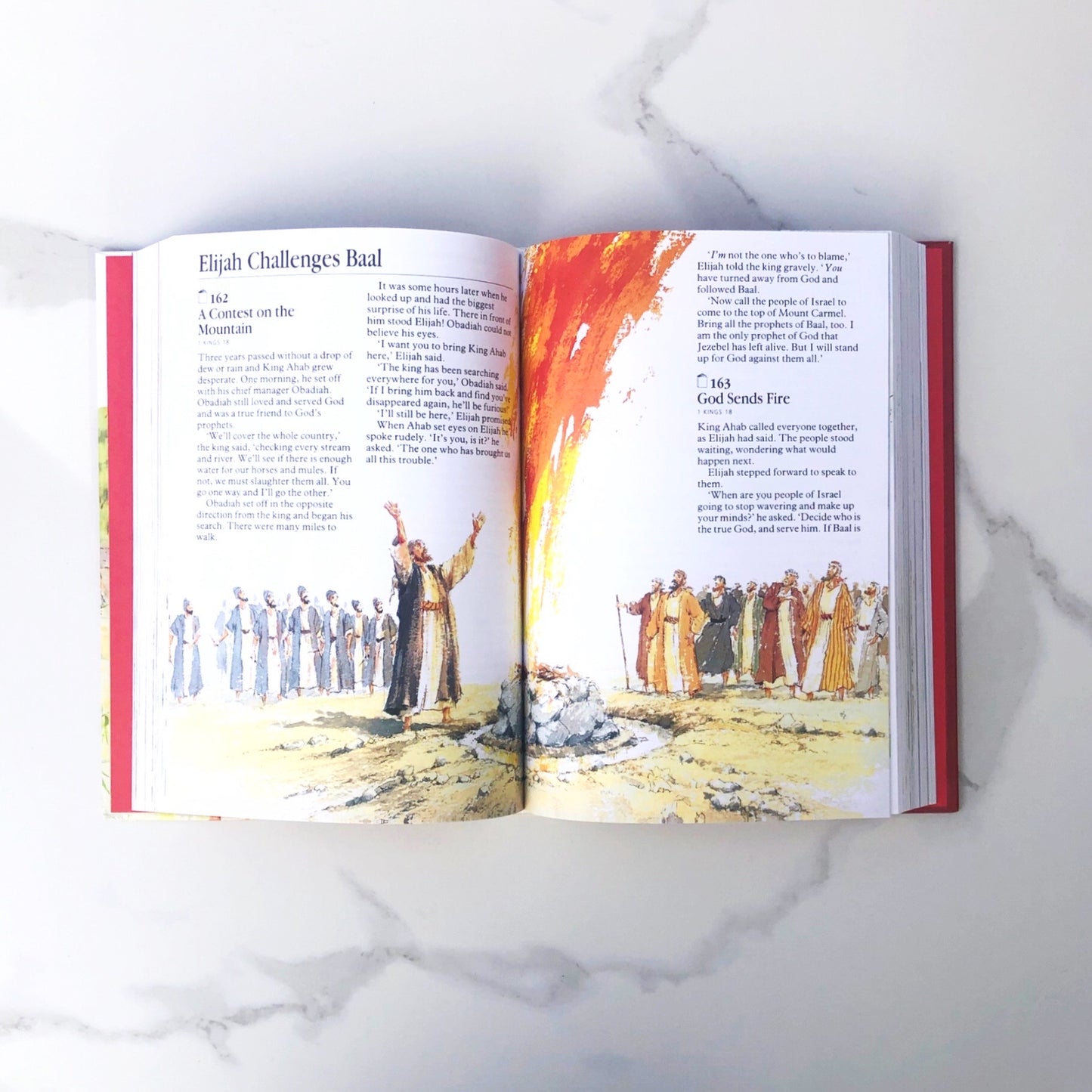 The Children's Bible in 365 stories hard cover